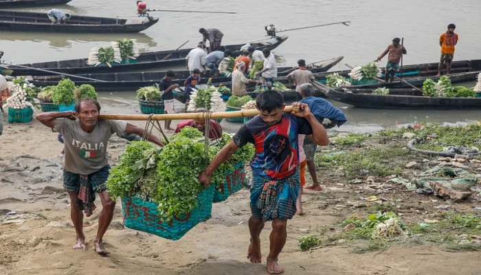 শঙ্খপারের সবজিবাজার